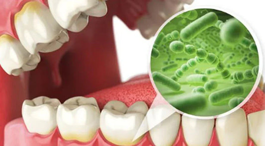 Gut Health Revolution: Photobiomodulation's Role