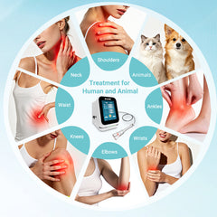 Multi Wavelength 12-45W Medical Grade Class 4 Desktop Laser Therapy Machine for Human and Veterinary Care