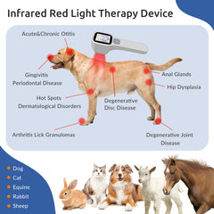 ZJZK Four-Wave Laser Therapy Device Advanced Multi-Wavelength Treatment for Pain Relief and Healing