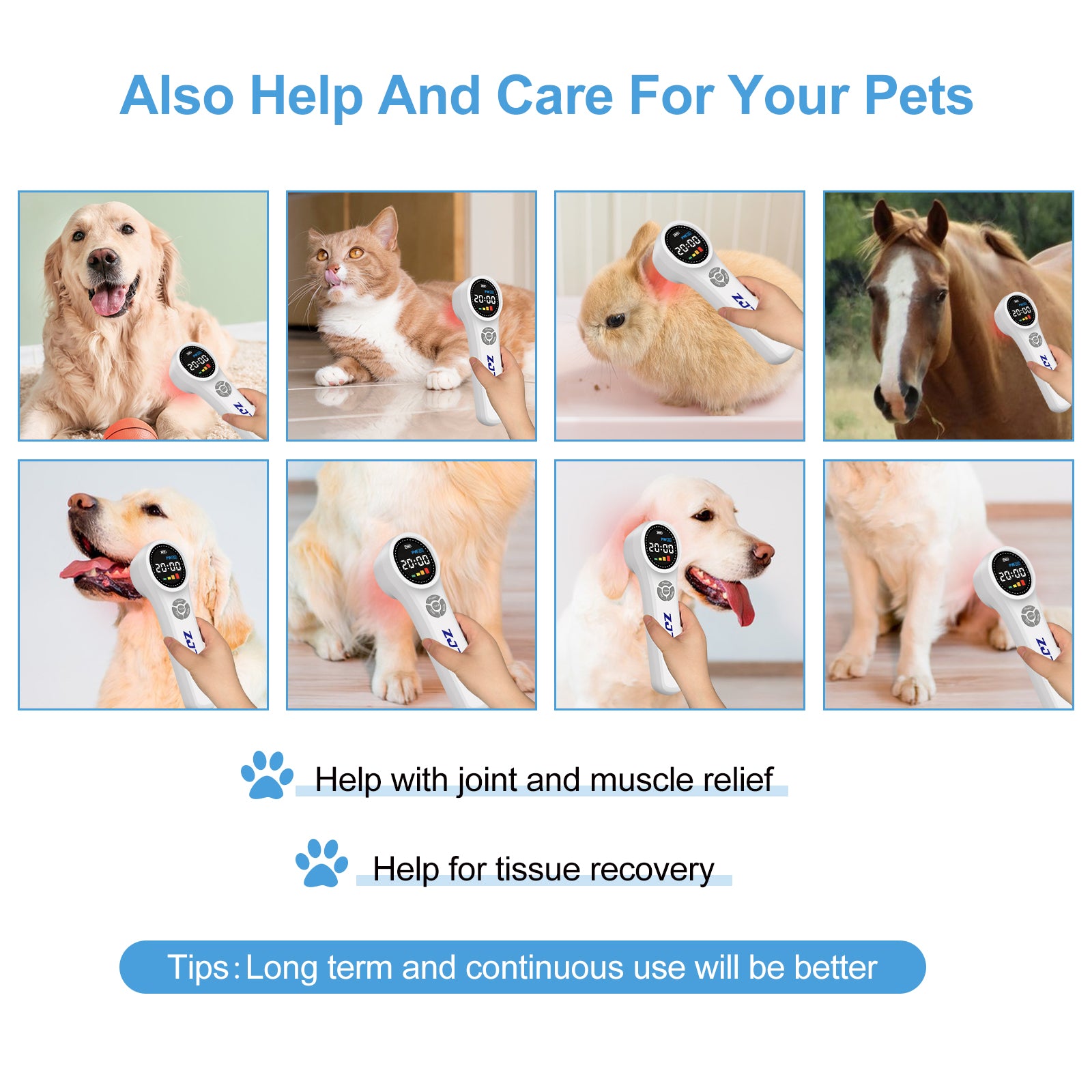 Equine laser therapy for pain&joint&deep issue&Anti-inflammation&Wounds Healing&Tendonitis for dogs horses cats pets animals