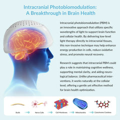 ZJZK 810nm 1070nm Transcranial Photobiomodulation Helmet Near Infrared Light for Brain Health