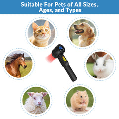 chiropractic laser therapy for pets animals equine horses cats dogs