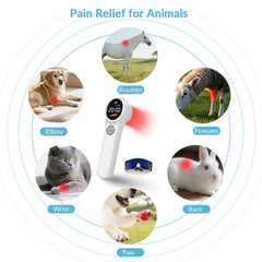 Cold Laser Therapy Device 1760mW for Humans & Pets Joint & Muscle Pain Relief