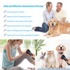 laser chiropractic for blood circulation&wound healing&tissue repair &anti inflammation swelling&Chronic from