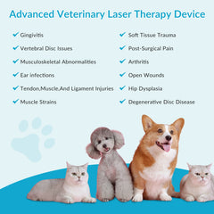 3W-12W Professional Class IV Laser Therapy Device for Pain Relief & Recovery
